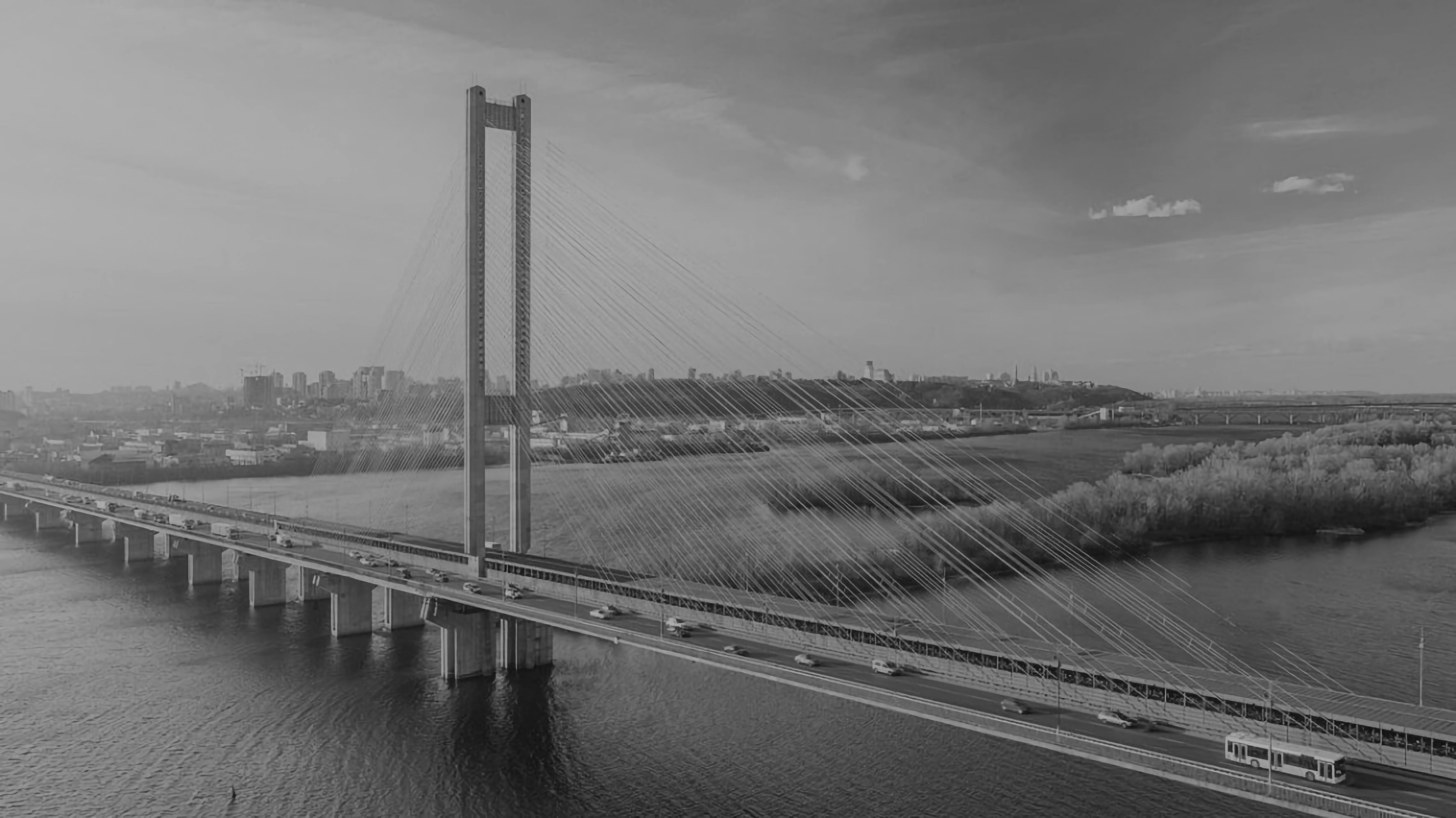 Zahist law firm statistics