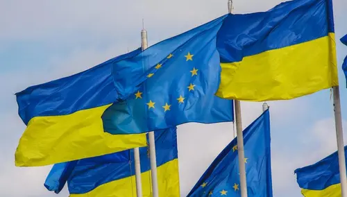 У чому різниця між тимчасовим захистом і ВНЖ